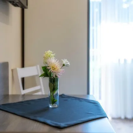 U Sliwioka 샤플라리